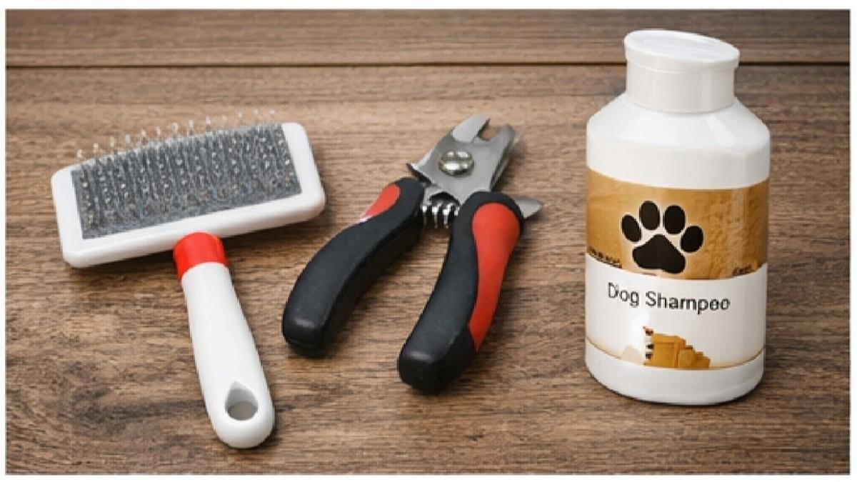 Basic dog grooming tools including brush nail clipper and dog shampoo