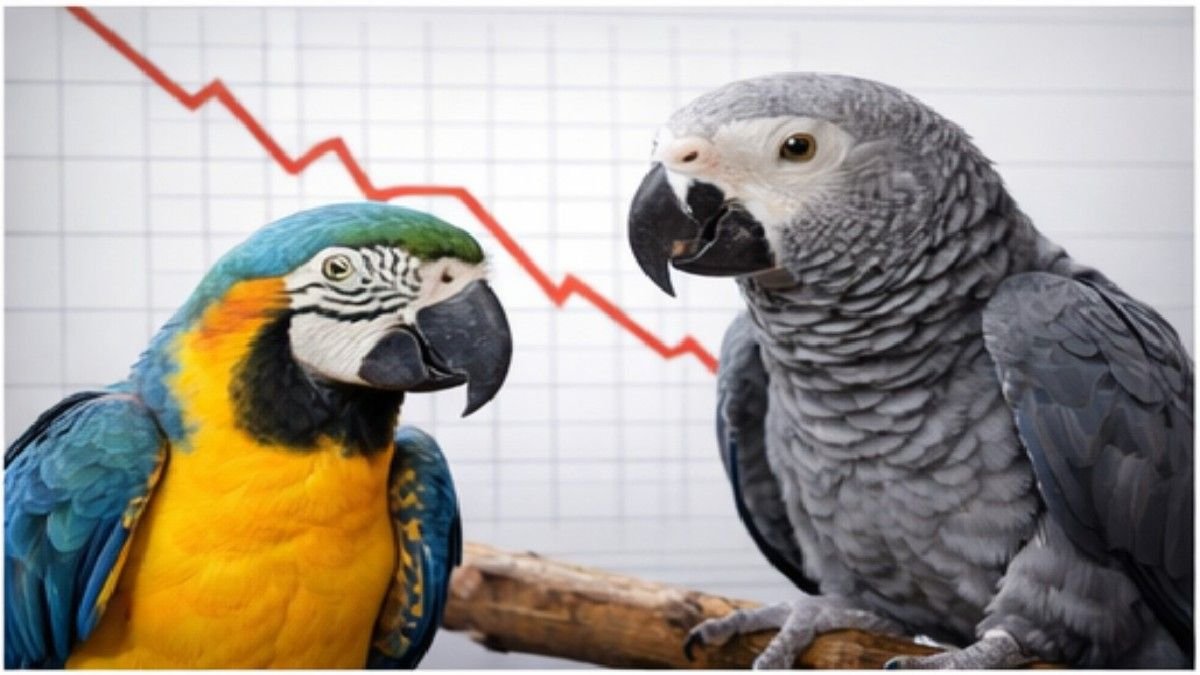 Colorful Macaw and African Grey Parrot perched together, showing vibrant feathers