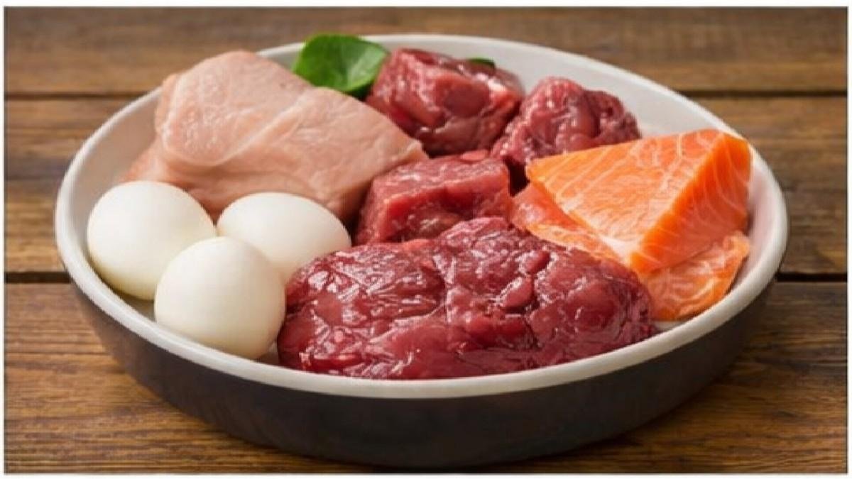 Protein rich foods for dogs like chicken beef fish and eggs
